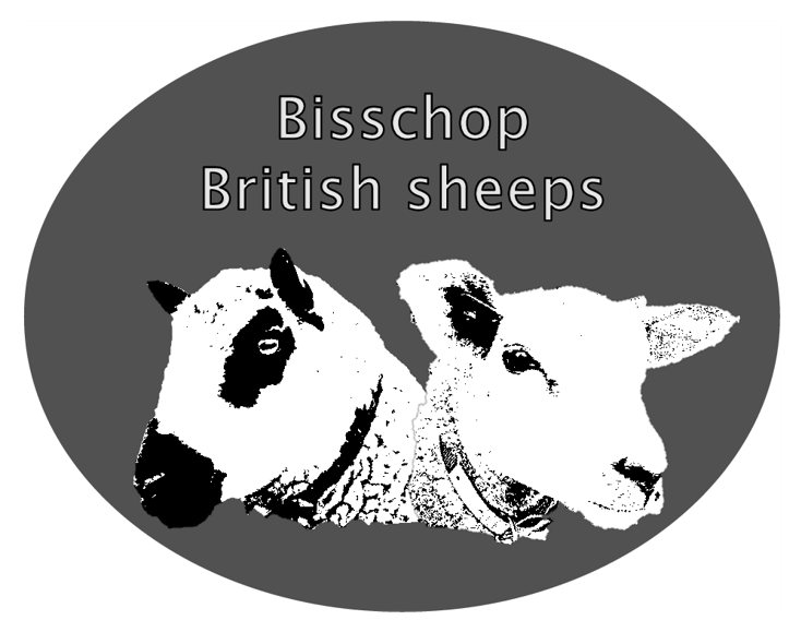 http://www.bisschopsheeps.nl/